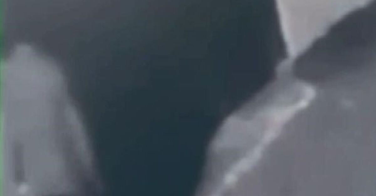 Türk bayrağını yakmıştı! İşte istenen ceza!